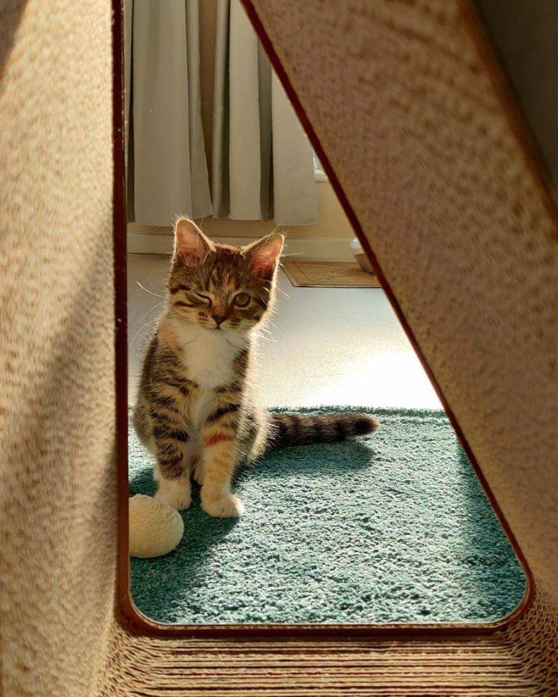 reddit.com/Solusvapros